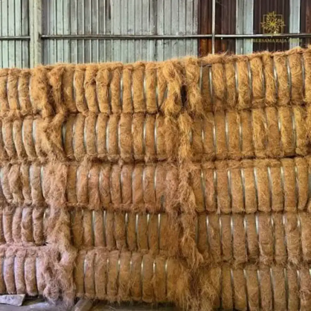 Serat sabut cocofibre halus kering dlm balpres 50 Kg an