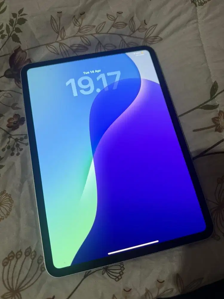 Apple Ipad Pro M4 11 Inch