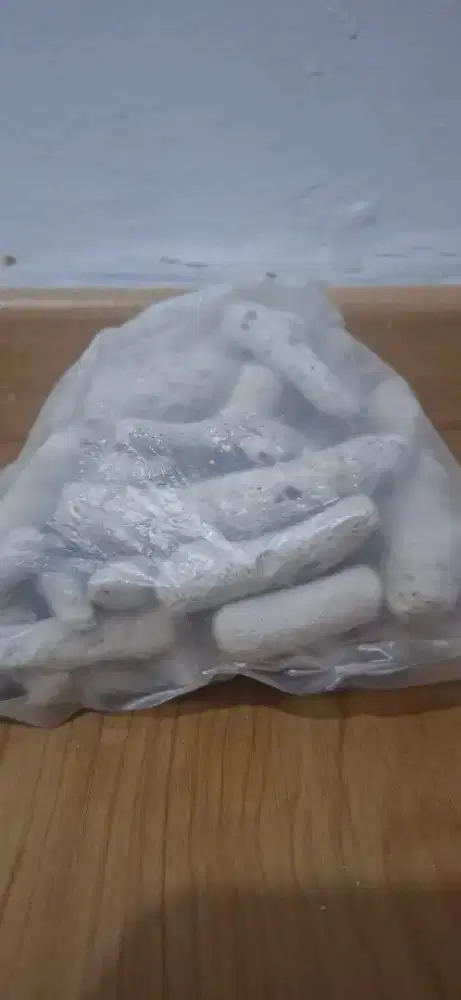 Media Filter Karang Jahe