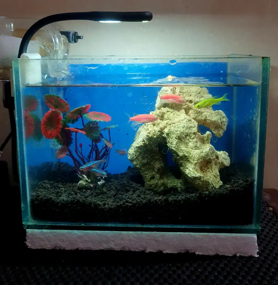 Aquarium lengkap