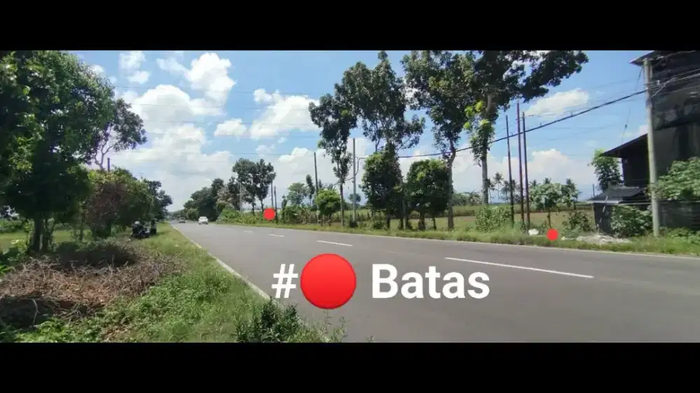 DIJUAL TANAH/SAWAH 12.000m² JLT SELOKGONDANG LUMAJANG|SHM RESMI