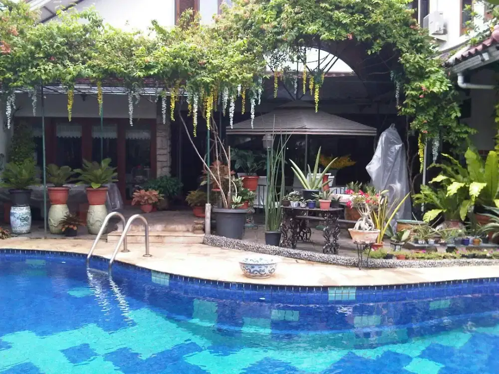 Jual Cepat Rumah Lt. 1563/450 Di Jl. Domang Kebon Jeruk Jakarta Barat