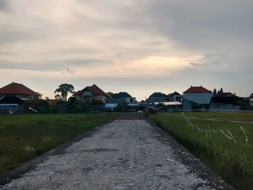 Di jual tanah 1 - 5 are Lokasi di tukad balian denpasar selatan