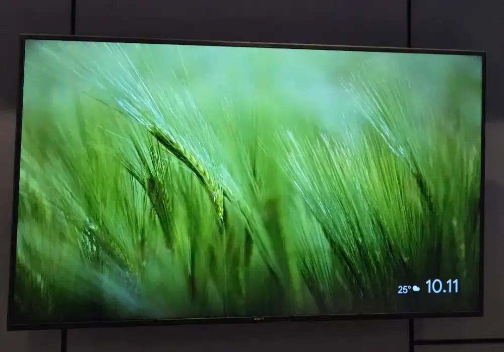 TV SONY BRAVIA 65 INCH