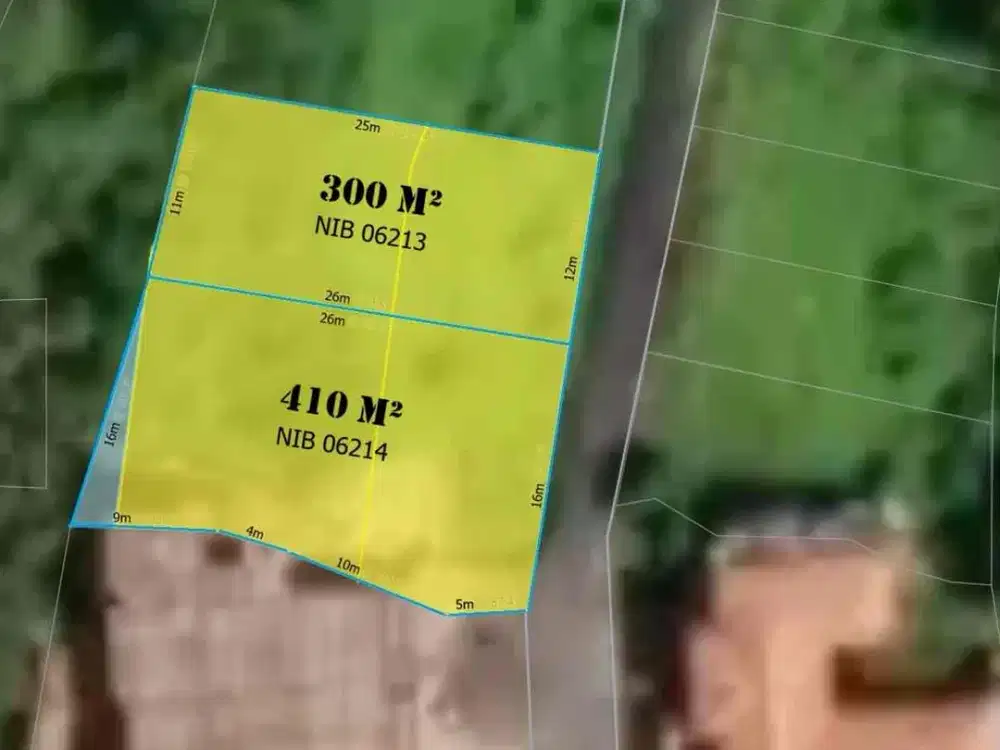 SMALL PLOT RICE FIELD , JUNGGLE AND RIVER VIEW AT SINGAPADU UBUD GIANYAR