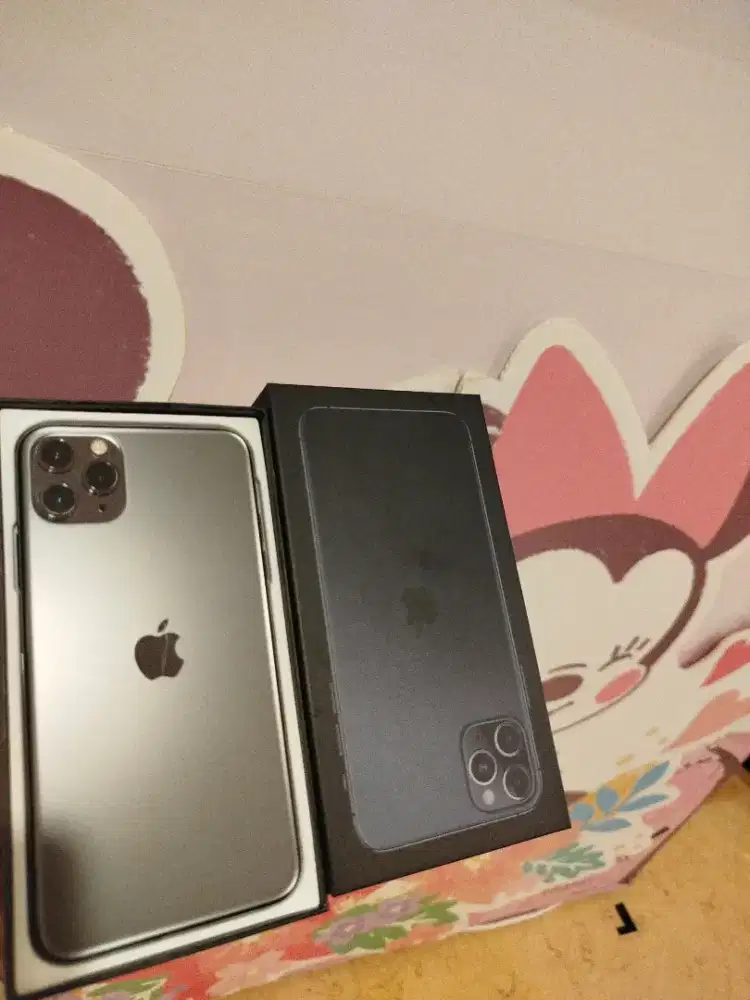 iPhone 11 pro max 512gb pasti grey