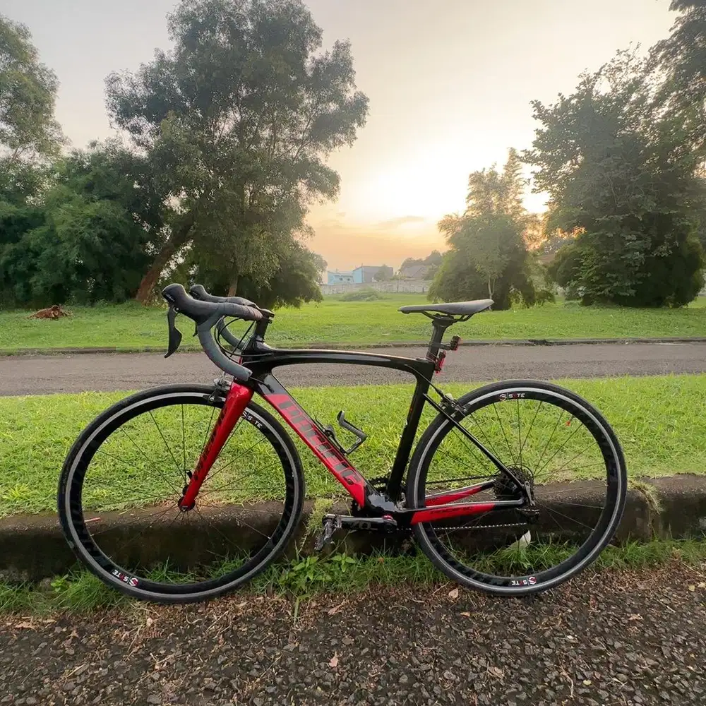 Seped Roadbike Pacific Primum 3.3 Carbon