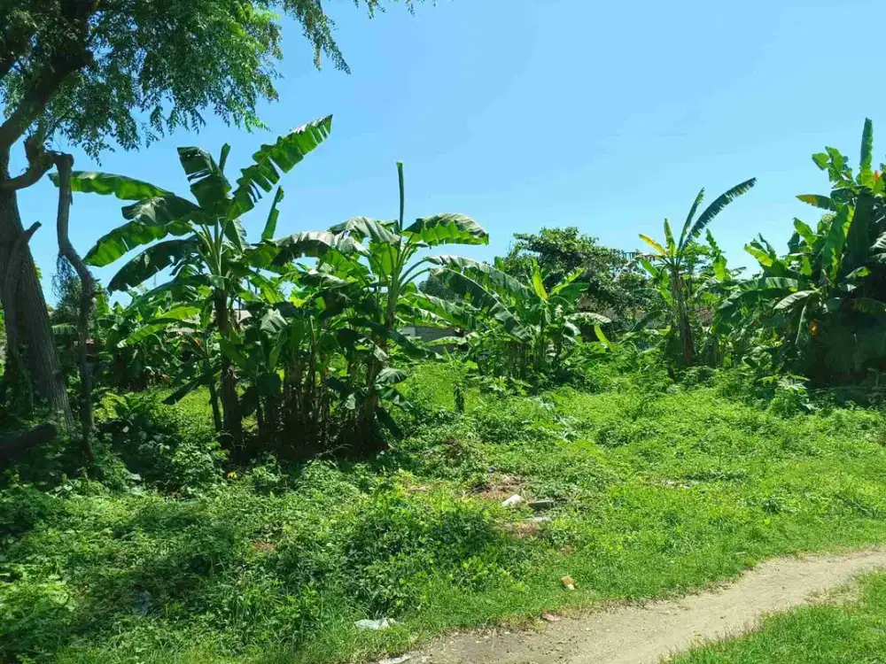 dijual tanah 2840m² IDR 650 juta per are di tanjung nusa dua badung bali