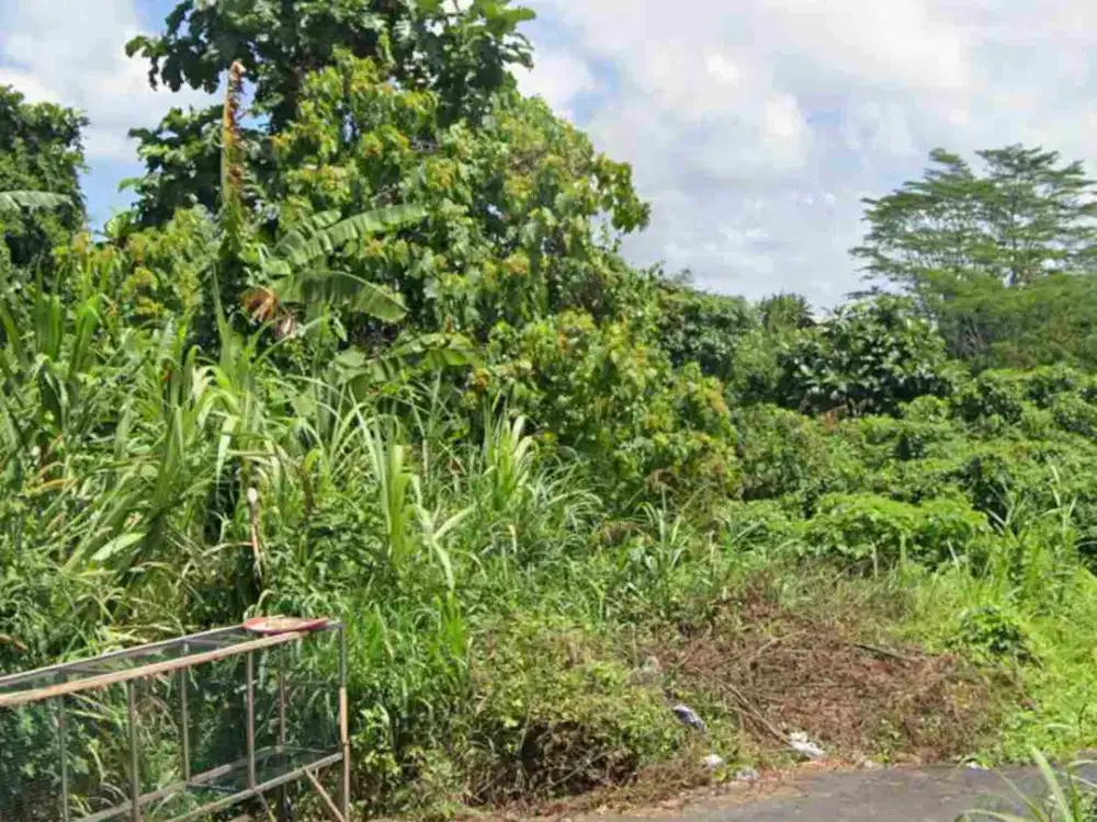 dijual tanah 5,4 are IDR 250 juta per are dekat RS sanjiwani Gianyar Bali