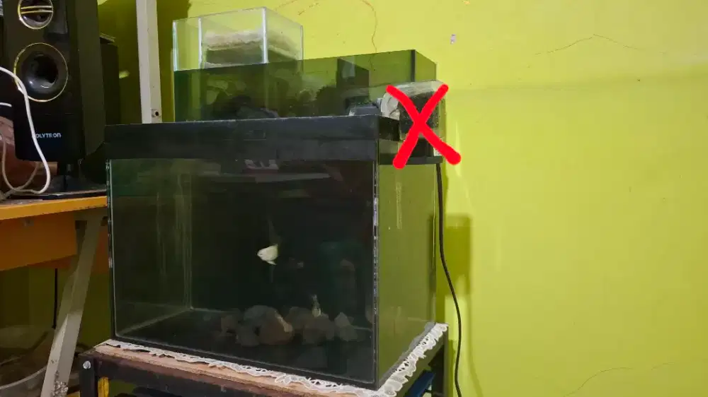 Aquarium siap pakai 40x25x30