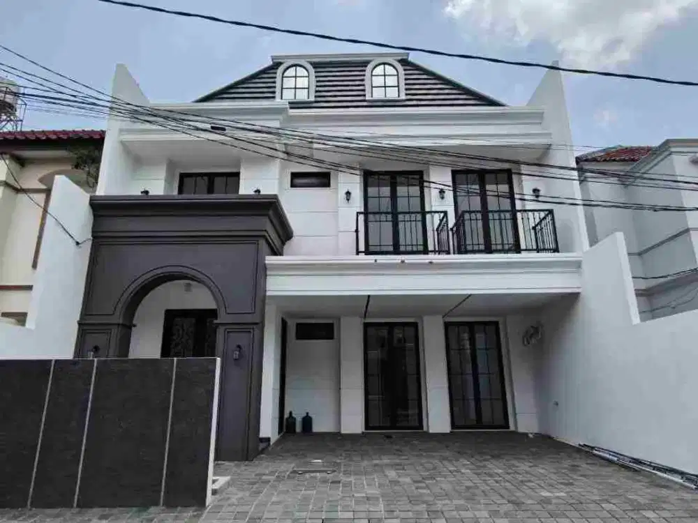 Baru Gress American Classic - Dharmahusada