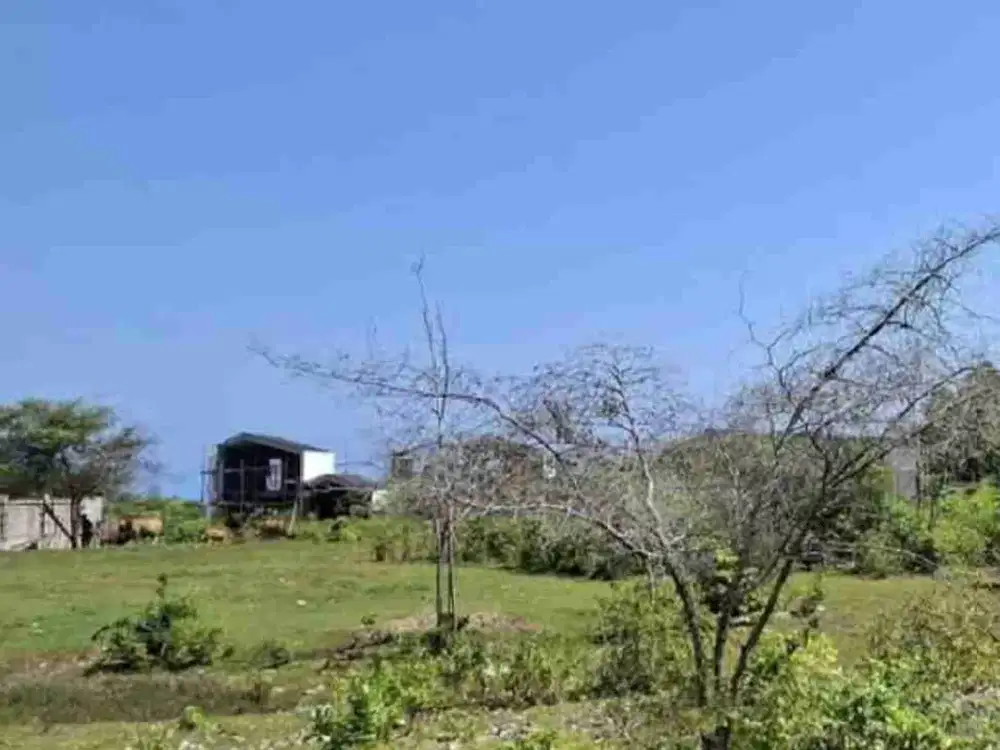 disewakan tanah 50 are harga 14 juta /are/th dekat pantai Melasti Ungasan