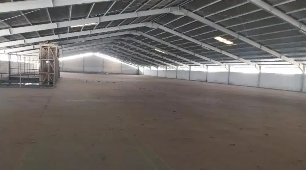 Jual Cepat Gudang Siap Pakai
Kawasan Cikupa Tangerang