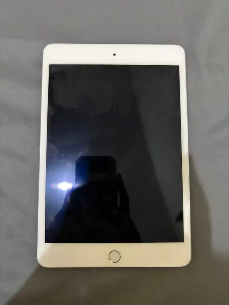 iPad Mini 4 32GB Wifi Only ex inter