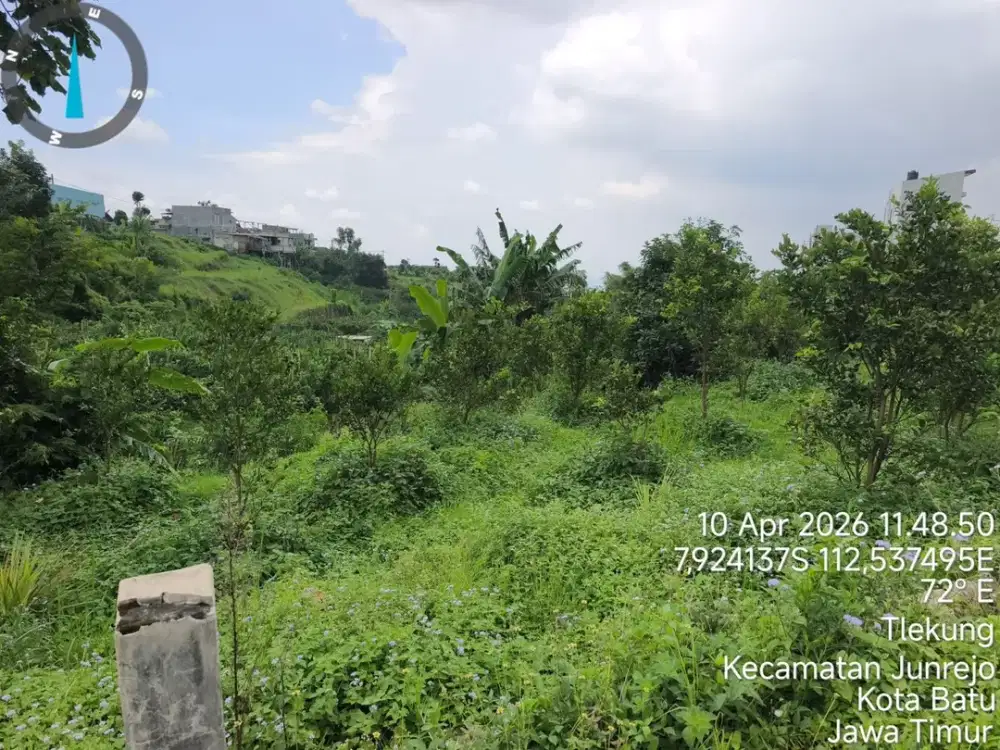 Dijual Tanah Zona Kuning Lokasi Strategis Junjero Jawa Timur Luas 1158m2