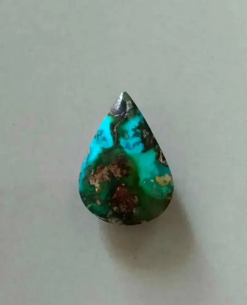 Pirus persia lawasan gradasi warna cakep