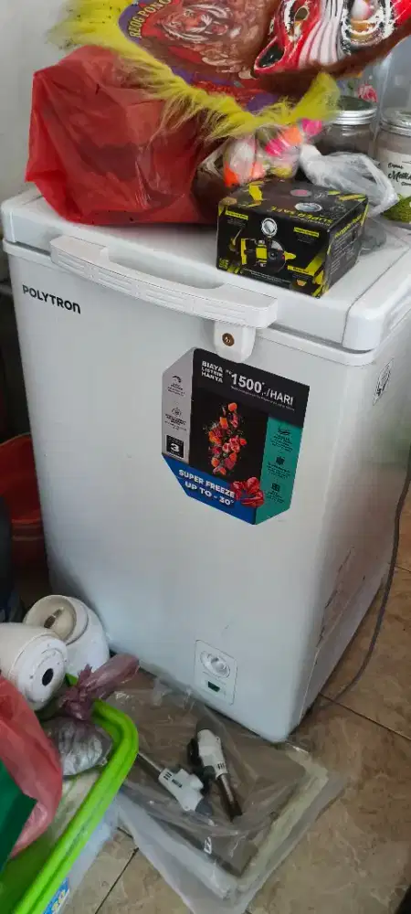 Polytron freezer 100L