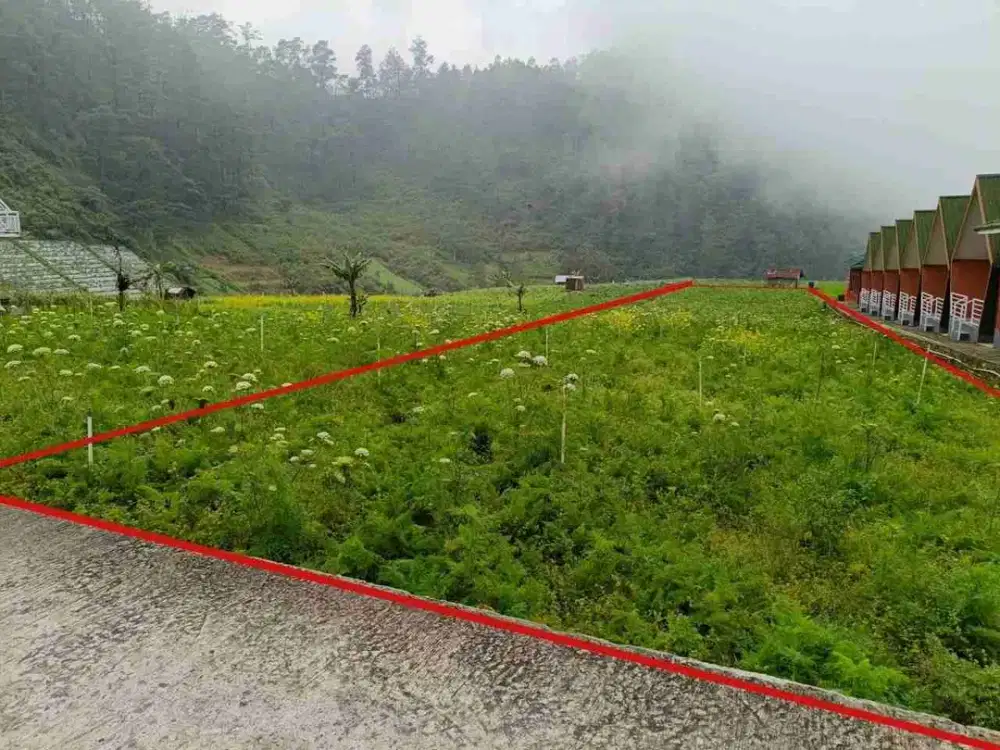 Tanah Pekarangan Di Kawasan Wisata