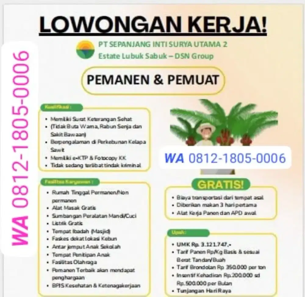 Loker perkebunan kelapa sawit