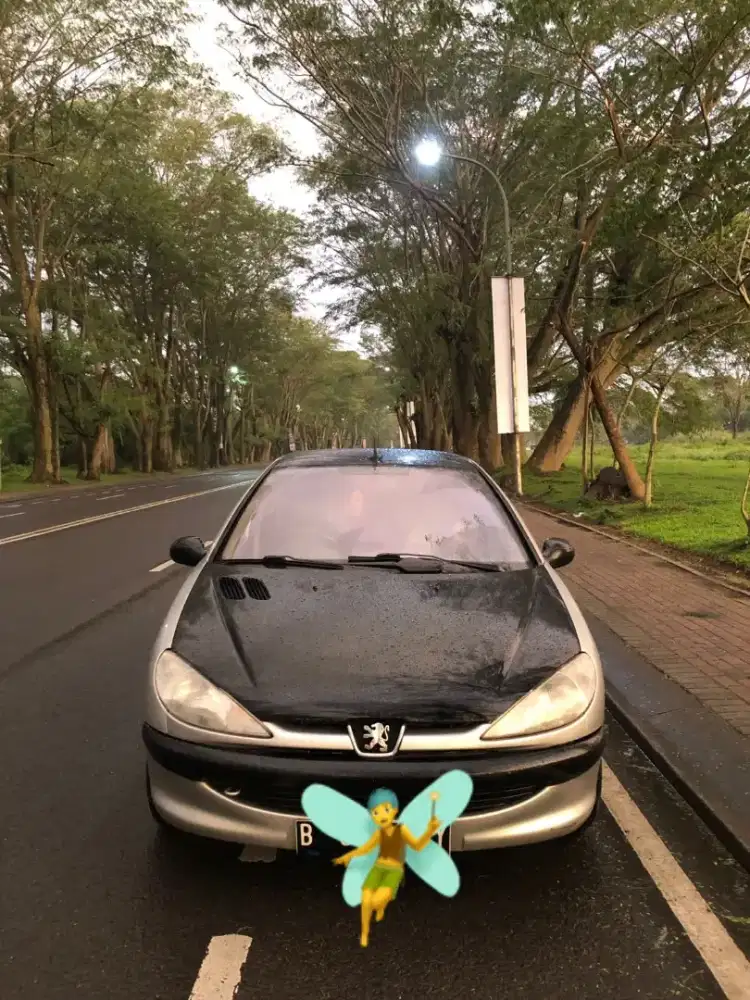 Peugeot 206 cbu thn 2001