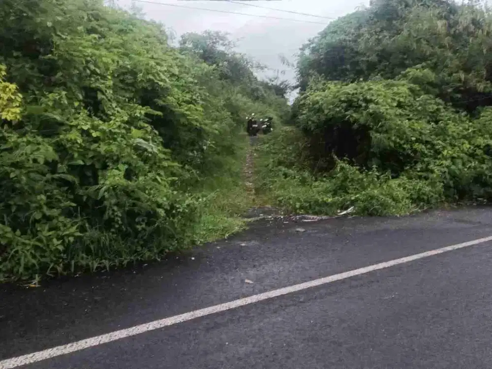 dijual tanah 100 M2 IDR 450 juta di goa gong atas ungasan Kuta Selatan Badung Bali