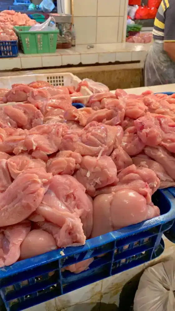 JUAL AYAM FILLET DADA PAHA 1 KG DIBAWAH 40RB