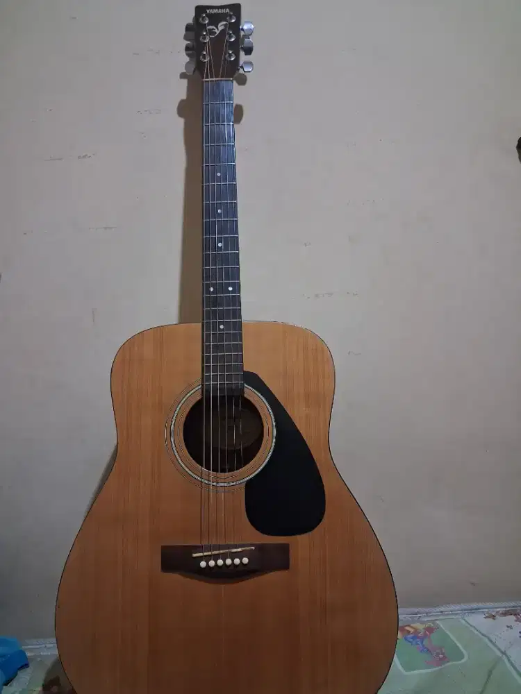 Yamaha acoustic FX310