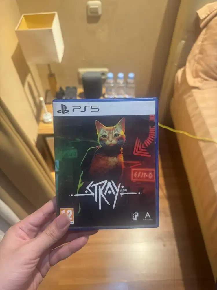 BD Kaset PS5 Stray