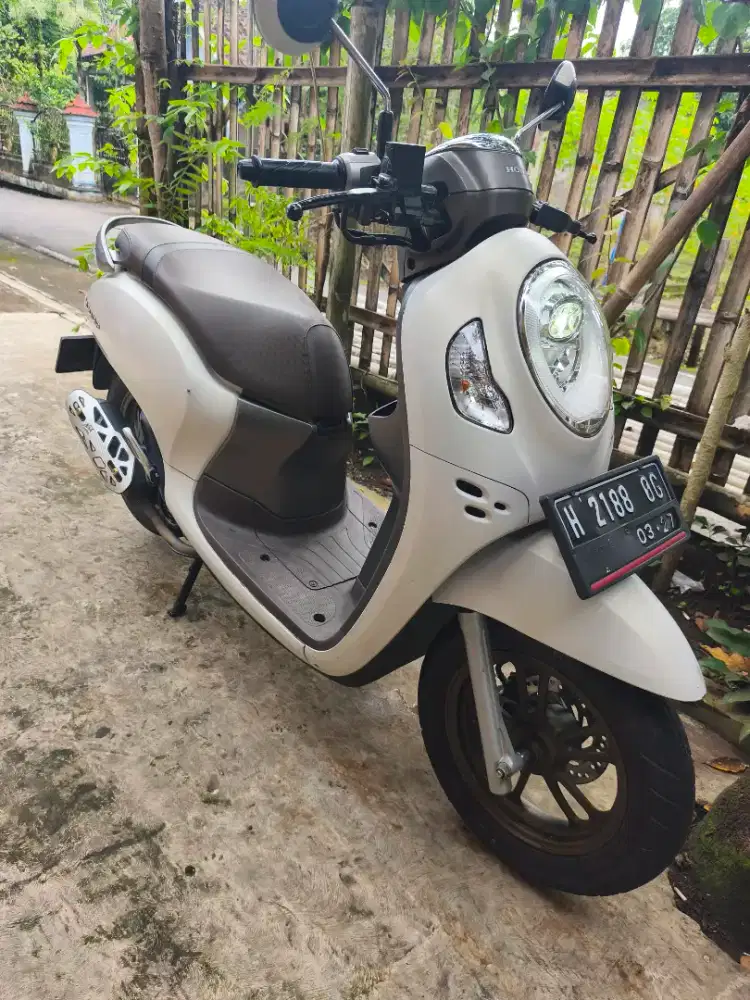 Honda scoopy prestige