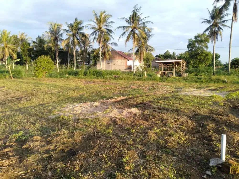 DEKAT KEDATON RAJABASA! TANAH DI FAJAR BARU DIJUAL MURAH