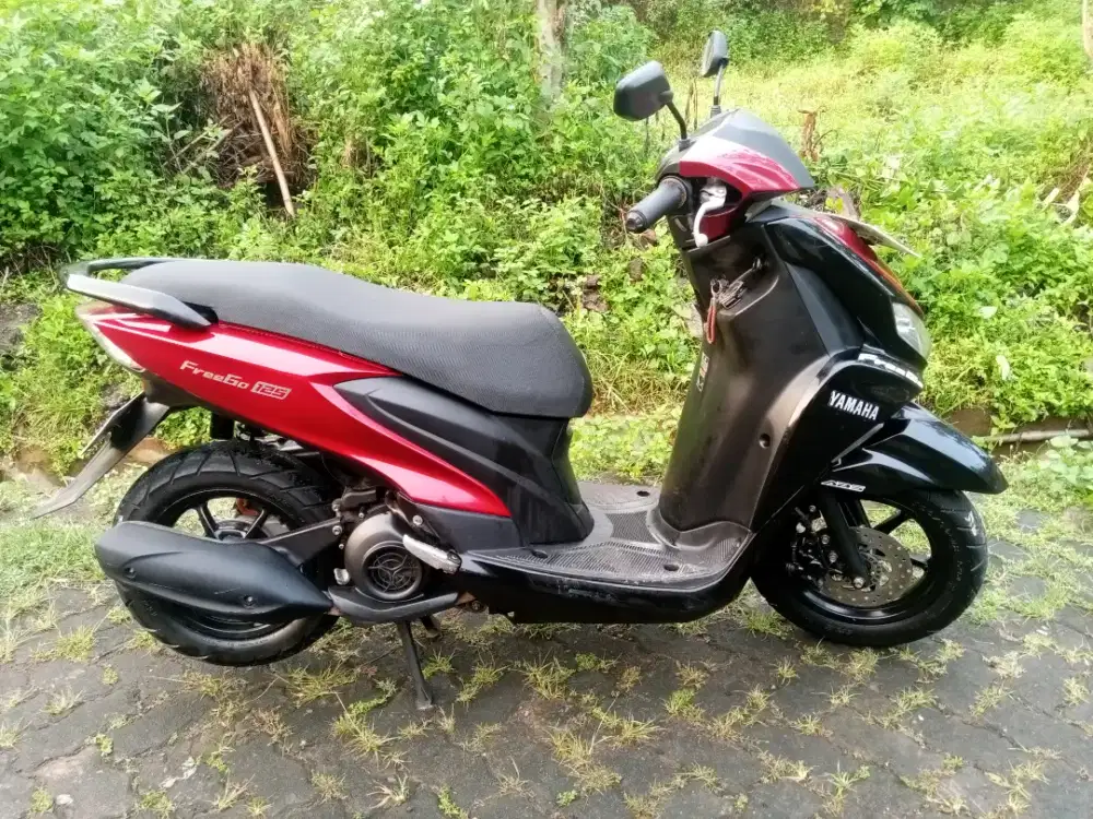 yamaha freego 2019
