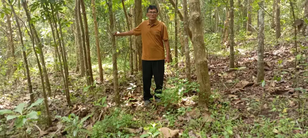 Jual tanah di Moyudan Sleman