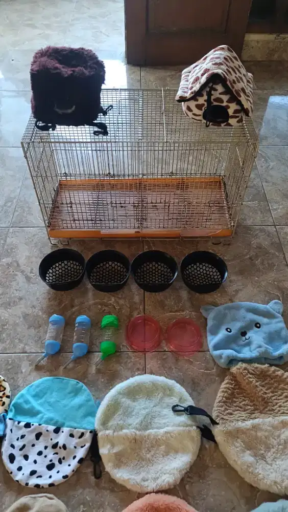 Asesoris untuk sugar glider