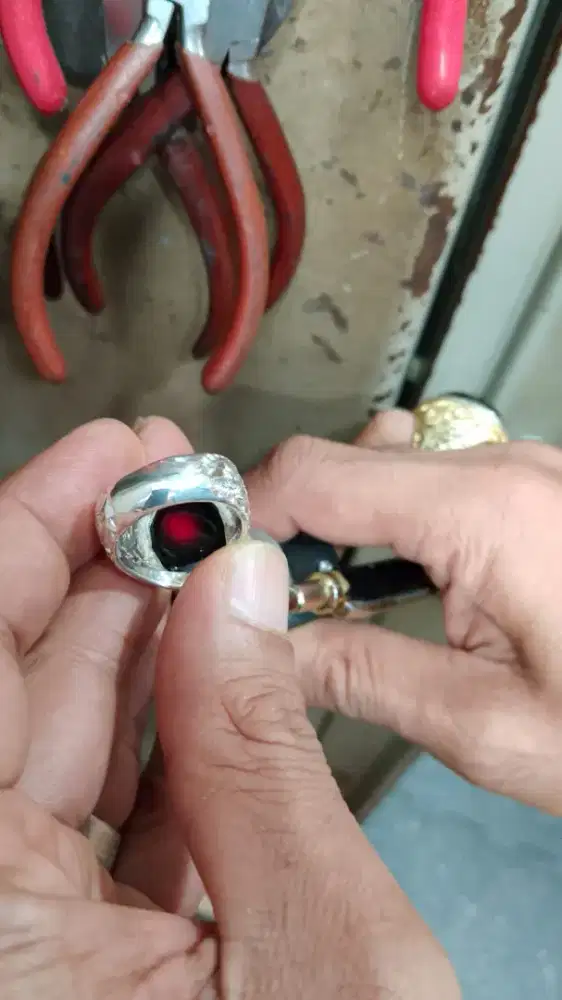 Kecubung Ulung ACEH
(Tiro)