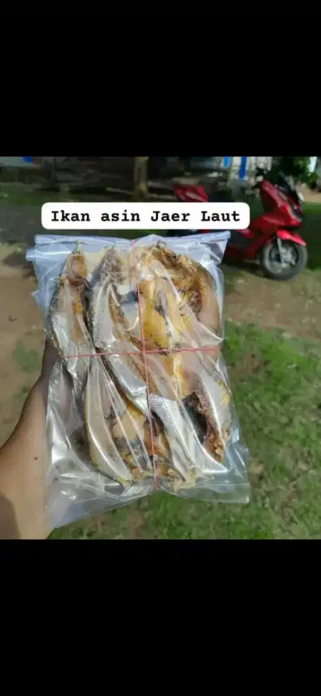 Aneka ikan asin pangandaran jawabarat