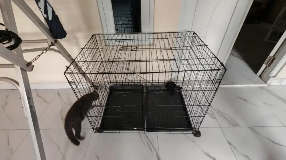 Kandang Kucing Like New