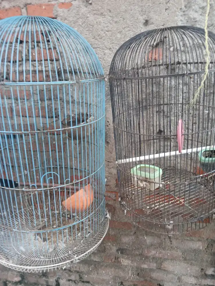 Jual kandang bulat 4 biji gda tebok ny