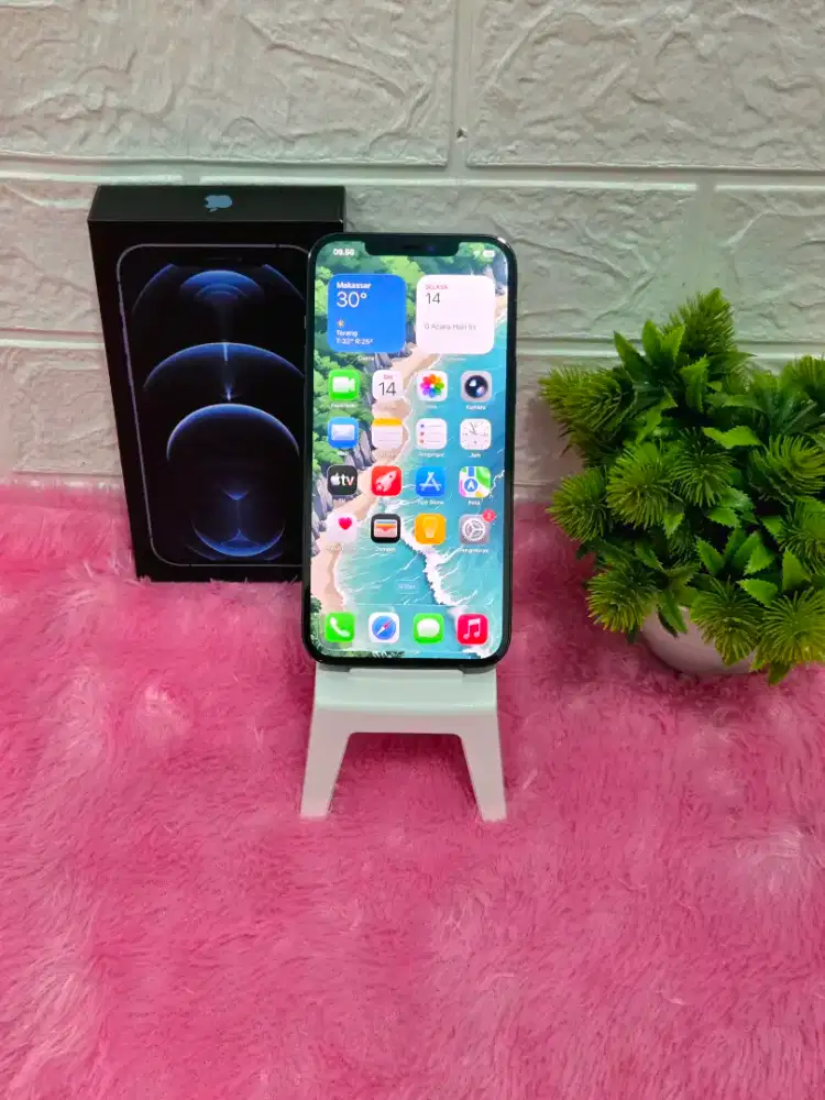 IPhone 12 Pro Max 256Gb Resmi Terjamin Cek Langsung
