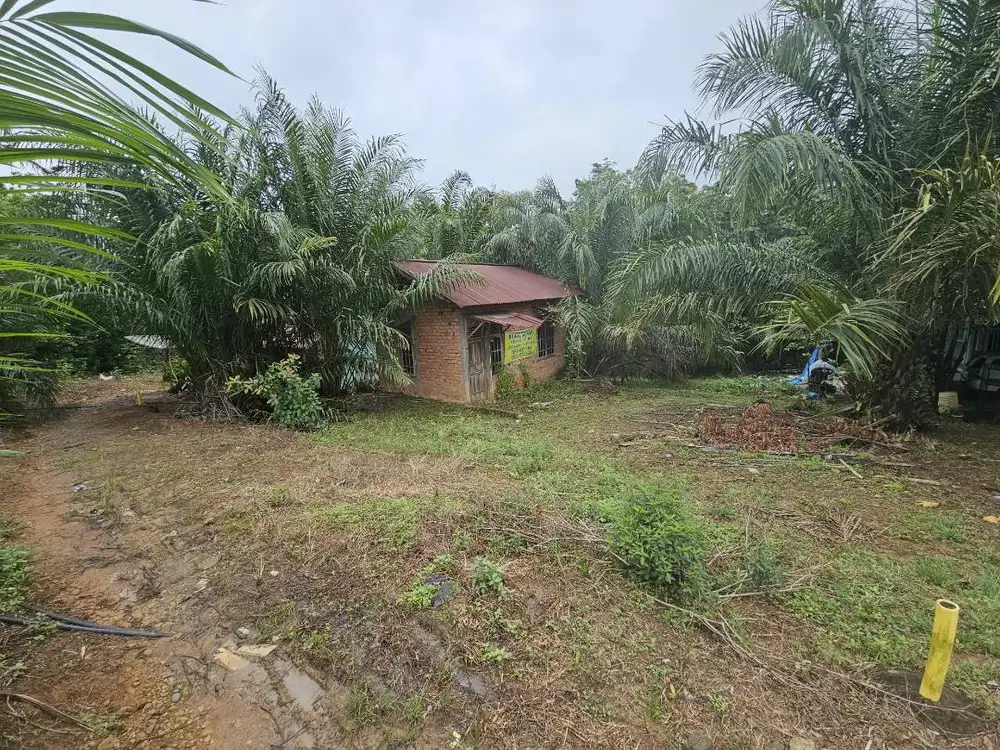 Dijual Cepat Tanah dan Bangunan