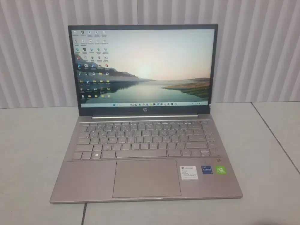 Hp pavilion 14-dv0xxx