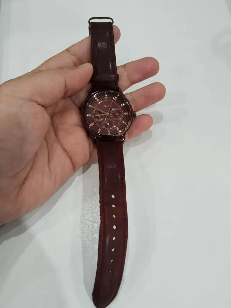 SALE!!! FOSSIL ORIGINAL