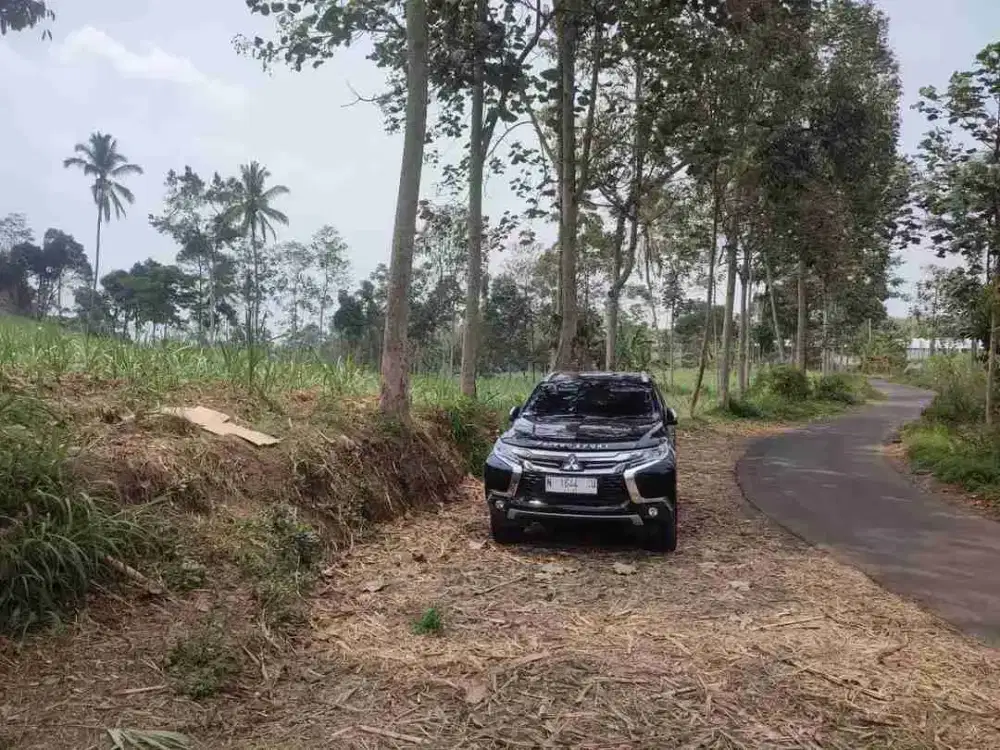 dijual tanah luas di Tumpang cocok kandang ayam atau grend house