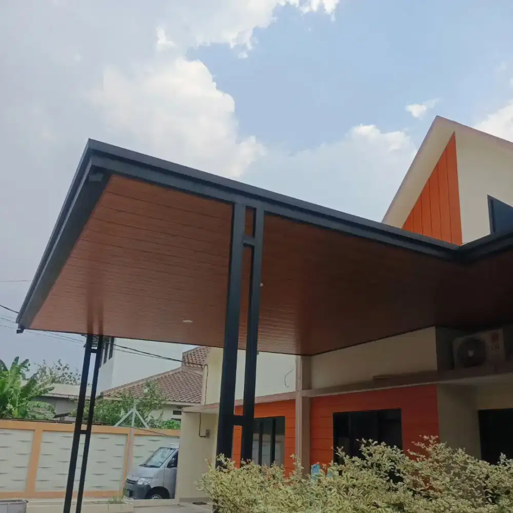 canopy alderon+plafon pvc