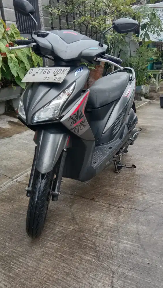 Vario 110 mulus