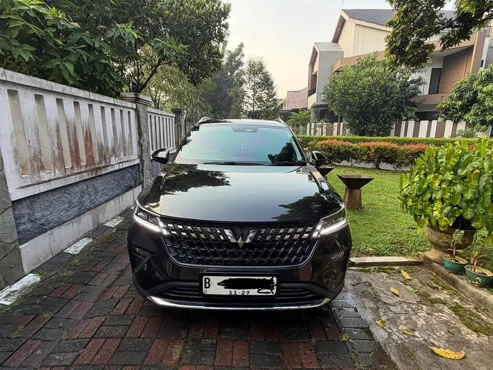 Wuling Alvez EX 2024