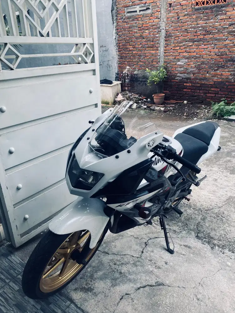 NINJA RR NEW SPECIAL EDITION 2013