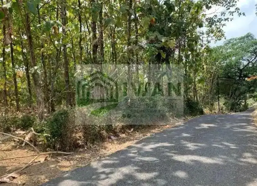 Tanah Pekarangan Dengan Muka 55m Hadap Jalan Aspal Dapat View Sawah