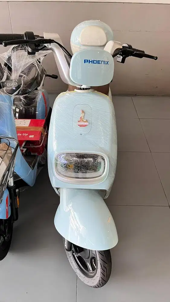 Sepeda listrik merek phoenix px20
