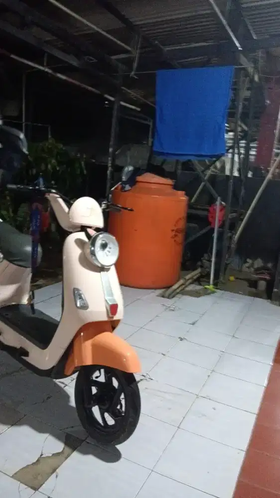 Selis uwinfly mulus no minus