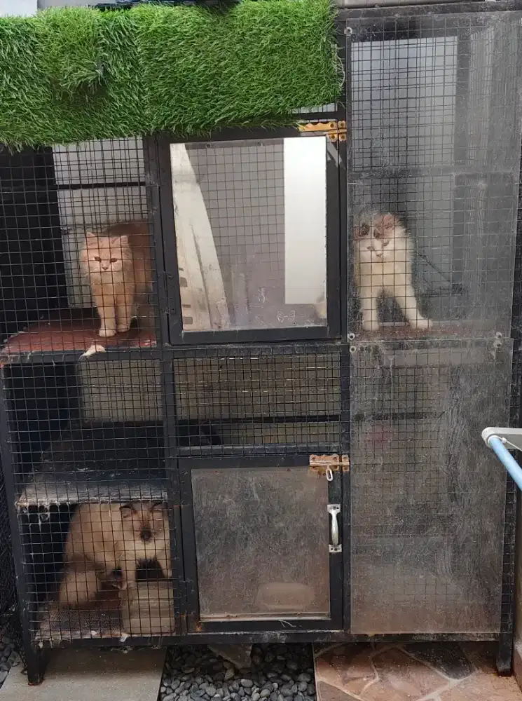 Kandang Kucing Bekas Tingkat